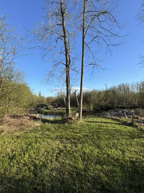 Other - 4808 E Black River Rd, Black River, MI 48721 photo 26 of 61