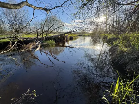 View/Area - 4808 E Black River Rd, Black River, MI 48721 photo 2 of 18
