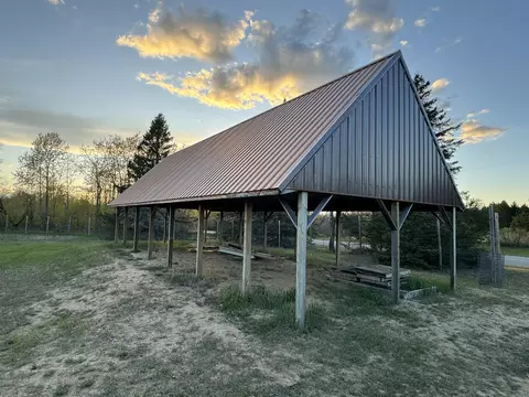 Exterior - 4808 E Black River Rd, Black River, MI 48721 photo 9 of 68