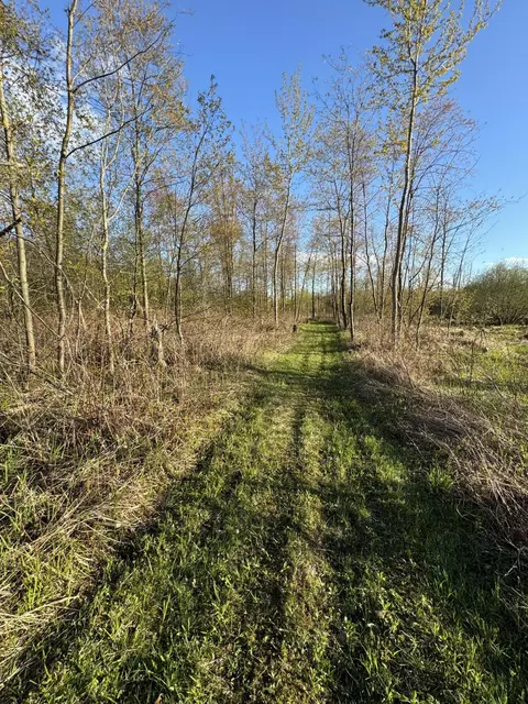 Other - 4808 E Black River Rd, Black River, MI 48721 photo 22 of 61