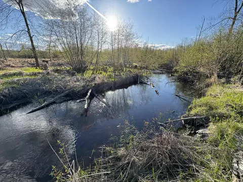 View/Area - 4808 E Black River Rd, Black River, MI 48721 photo 11 of 18