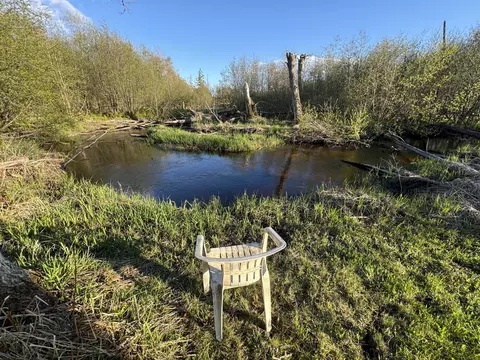 View/Area - 4808 E Black River Rd, Black River, MI 48721 photo 16 of 18