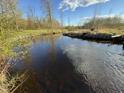 View/Area - 4808 E Black River Rd, Black River, MI 48721 photo 10 of 18