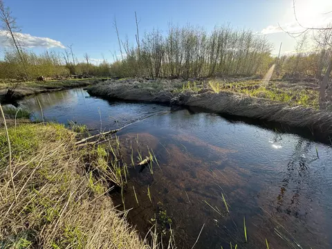 View/Area - 4808 E Black River Rd, Black River, MI 48721 photo 15 of 18