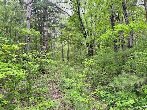 10 Acres Brewer Rd, Brethren, MI 49619