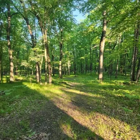 772 E Sandy Hill Ln, Bitely, MI 49309 photo 17