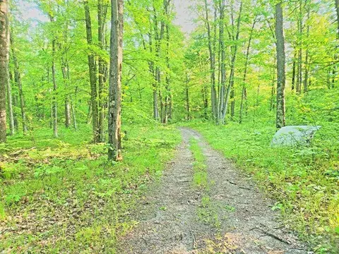 772 E Sandy Hill Ln, Bitely, MI 49309 photo 20