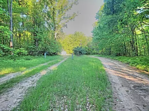 772 E Sandy Hill Ln, Bitely, MI 49309 photo 22
