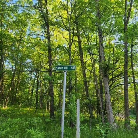 772 E Sandy Hill Ln, Bitely, MI 49309 photo 5