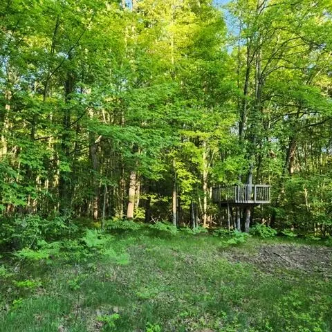 772 E Sandy Hill Ln, Bitely, MI 49309 photo 11
