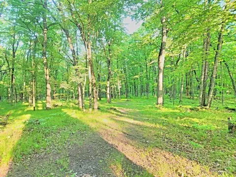 772 E Sandy Hill Ln, Bitely, MI 49309 photo 19