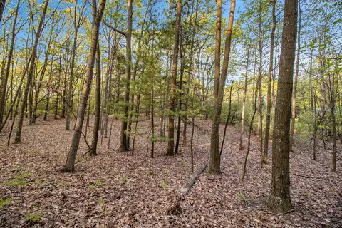 Parcel A Birchmere Road, Mears, MI 49436 photo 3