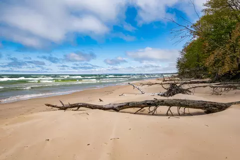 View/Area - 4235 N Ridge Rd, Mears, MI 49436 photo 2 of 4