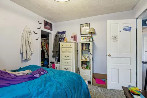 175 Division St, Saranac, MI 48881 photo 22