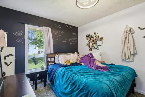 175 Division St, Saranac, MI 48881 photo 21