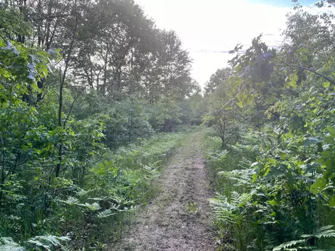 Vl Cassidy Road, Bellevue, MI 49021