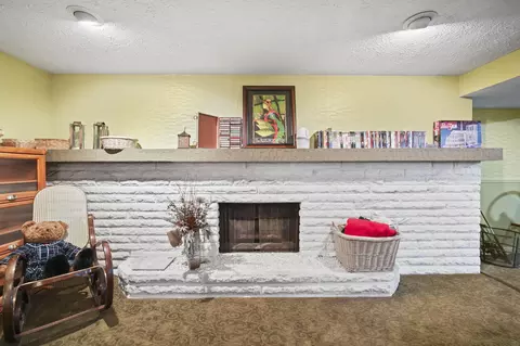 4432 Bonnymede Ln, Jackson, MI 49201 photo 49