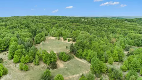 Vl Lindy Road, Thompsonville, MI 49683