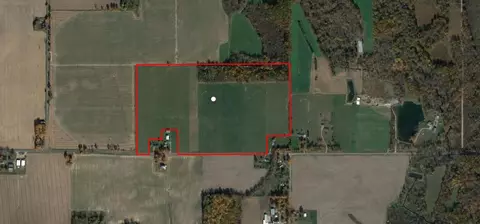 Youngs Road, Quincy, MI 49082
