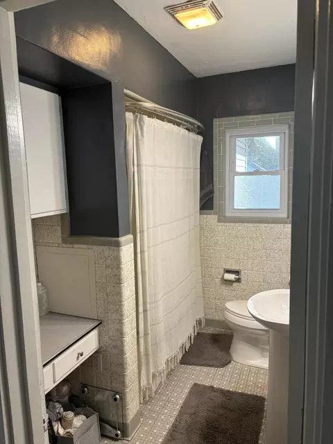 413 Rust Ave, Big Rapids, MI 49307 photo 14