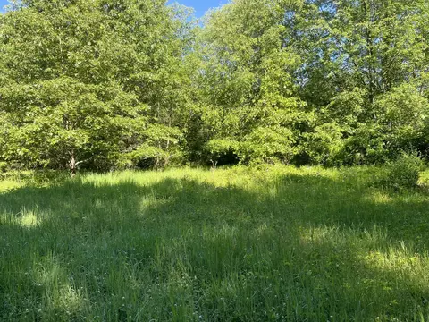 Houston Road, Eaton Rapids, MI 48827