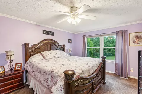 737 Dewars St, Howell, MI 48843 photo 18