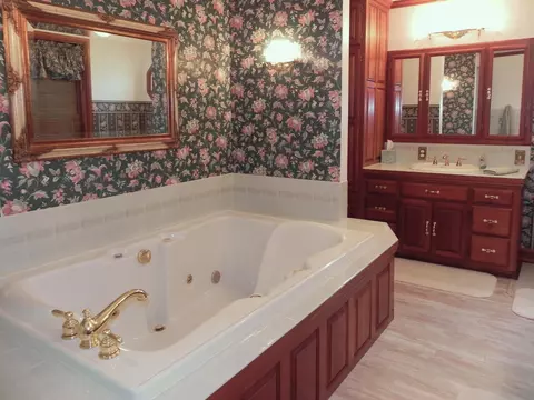 Bath - 19882 Roys Rd, Constantine, MI 49042 photo 4 of 11