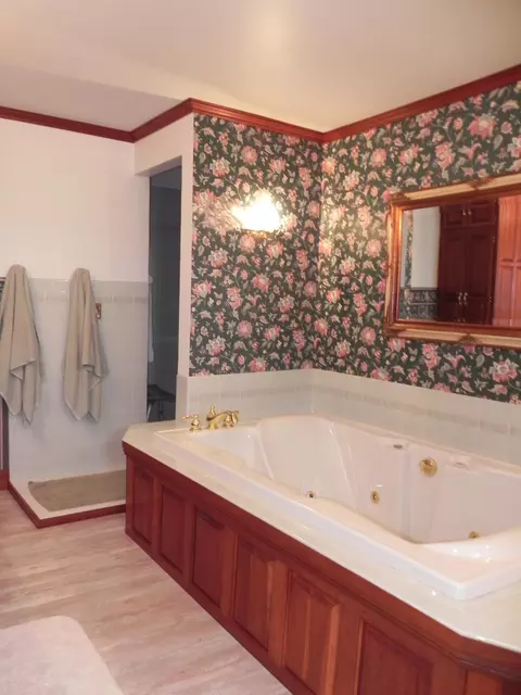 Bath - 19882 Roys Rd, Constantine, MI 49042 photo 3 of 11