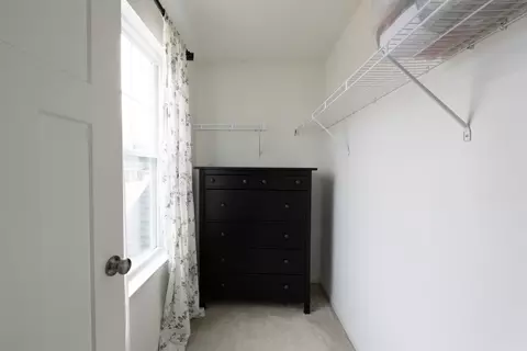 294 Springview St, Ann Arbor, MI 48103 photo 31