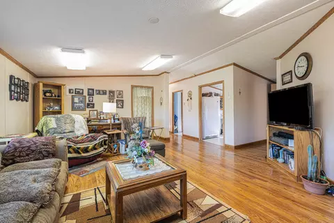 7066 Neff Rd, Edmore, MI 48829 photo 5