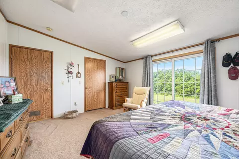 7066 Neff Rd, Edmore, MI 48829 photo 8