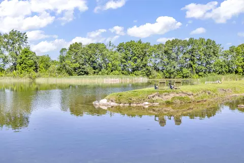 636 Dorbert Dr, Munith, MI 49259 photo 62