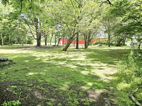 20203 Schweitzer Rd, Three Rivers, MI 49093 photo 10