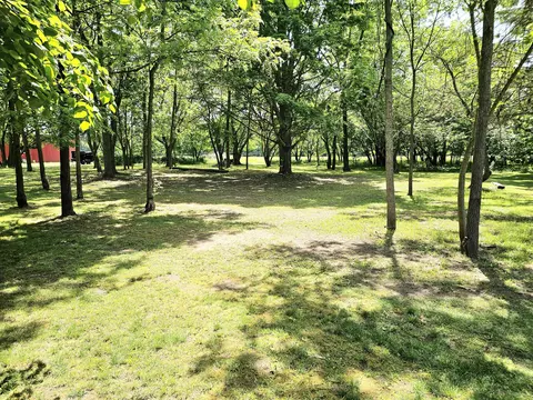 20203 Schweitzer Rd, Three Rivers, MI 49093 photo 9