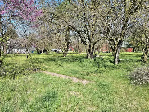 20203 Schweitzer Rd, Three Rivers, MI 49093 photo 11