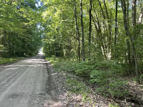 1 Milan Oakville Rd, Milan, MI 48160
