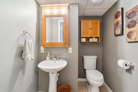 10903 Grandview Cir, Jerome, MI 49249 photo 37