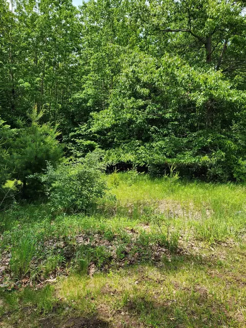 64 Opal Ridge Dr, Onekama, MI 49675 photo 3