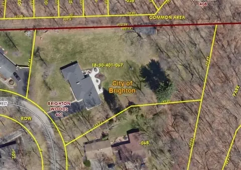 1047 Hillcrest Ave, Brighton, MI 48116 photo 23