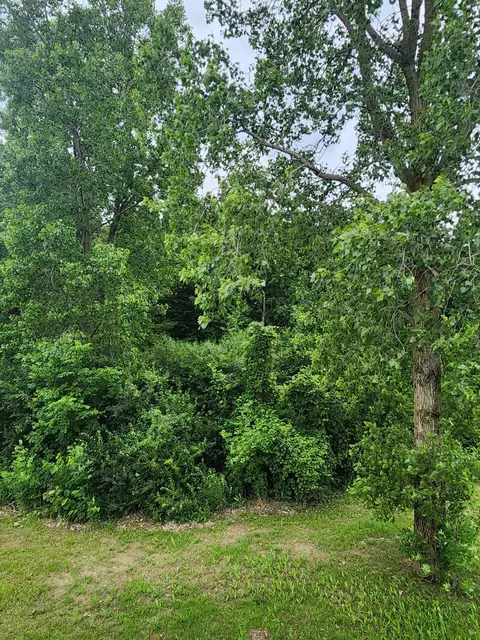 10434 Cobblestone, Davison, MI 48423 photo 64