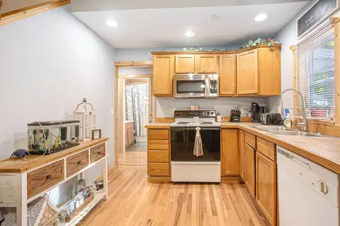 4144 E Shore Dr, Stanton, MI 48888 photo 10