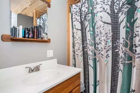 4144 E Shore Dr, Stanton, MI 48888 photo 19
