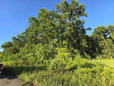 lot13 Embassy Rd, Edwardsburg, MI 49112