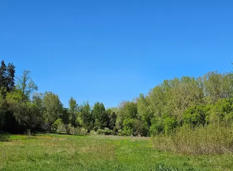 1160 W Stoll Rd, Dewitt, MI 48820 photo 16