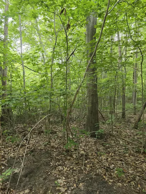 lot D 64th St, Holland, MI 49423