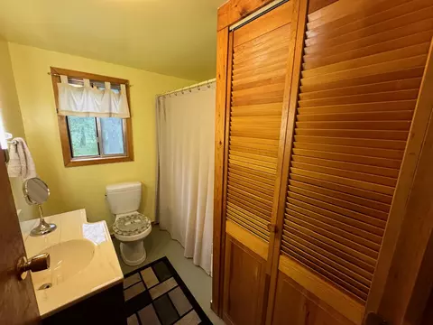 1024 E 10 Mile Rd, Irons, MI 49644 photo 19