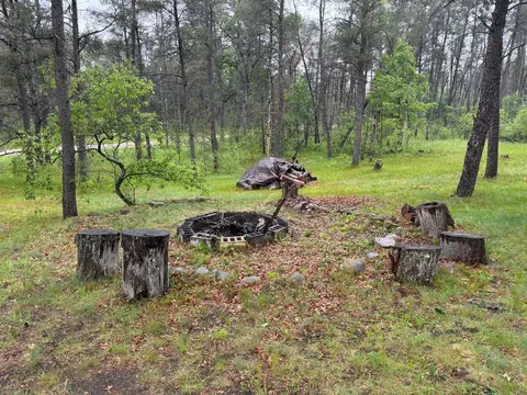 1024 E 10 Mile Rd, Irons, MI 49644 photo 5