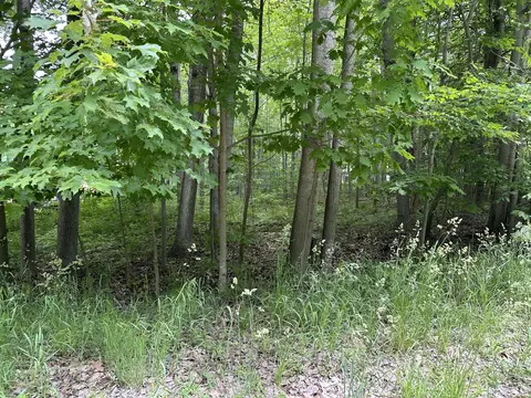 V/l Maple Street, Ludington, MI 49431