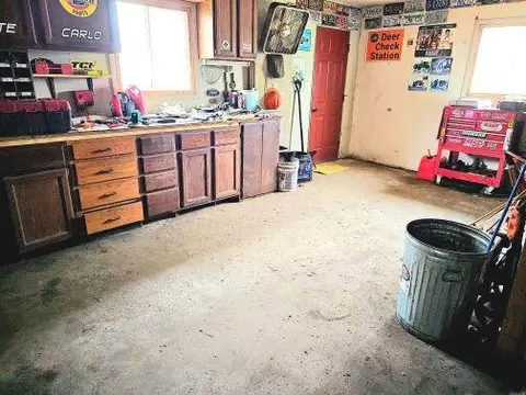 12525 E Chicago Rd, Jerome, MI 49249 photo 23