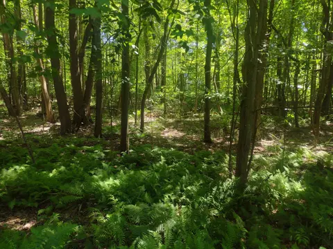 0000 Silver Rd, Glenn, MI 49416